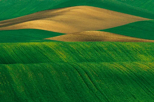 franco-fontana-paysage-minimaliste