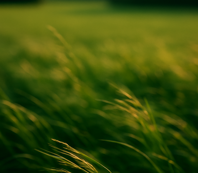 article-1-photos-paysage-floues