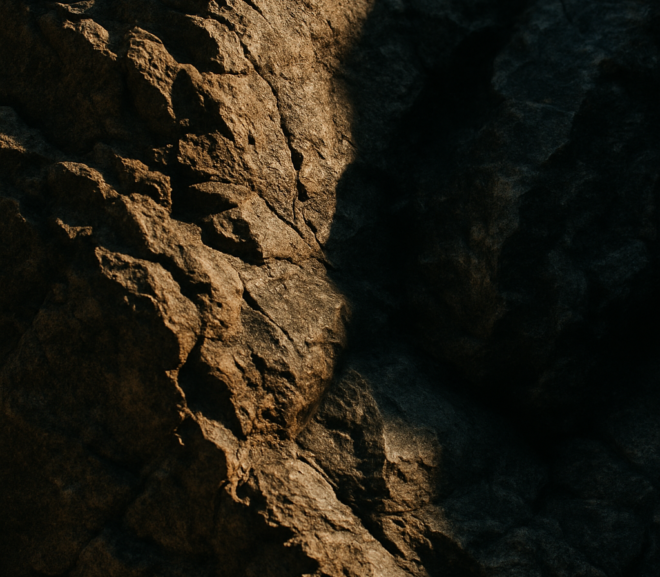 paysage detaille avec forts contrastes de lumiere et d'ombre